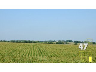 Property photo 173 - Land Auction - 3,379 Acres in 48 Tracts, 2,900 Acres Tillable, Large Contiguous Tracts - Investment Potential